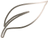 Carbon